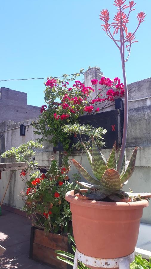 فندق Kymani House روزاريو المظهر الخارجي الصورة